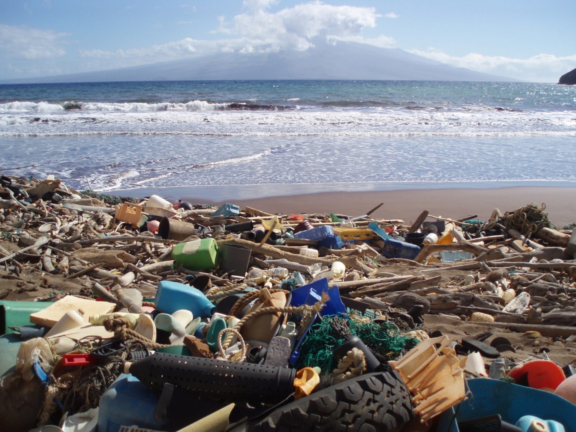 Plastic and other debris washed up on beach. Credit: NOAA's National Ocean Service